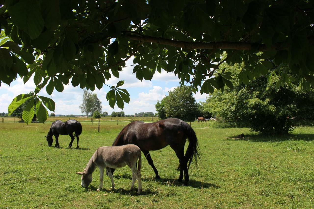 Appartamento Spring-Hof Oberostendorf Esterno foto